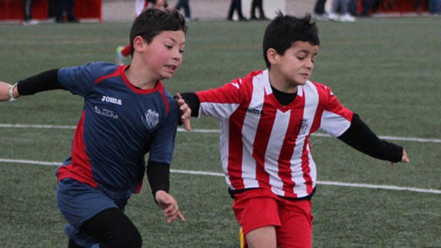 La Federación votará separar a los jugadores de primer  y segundo año en fútbol 8