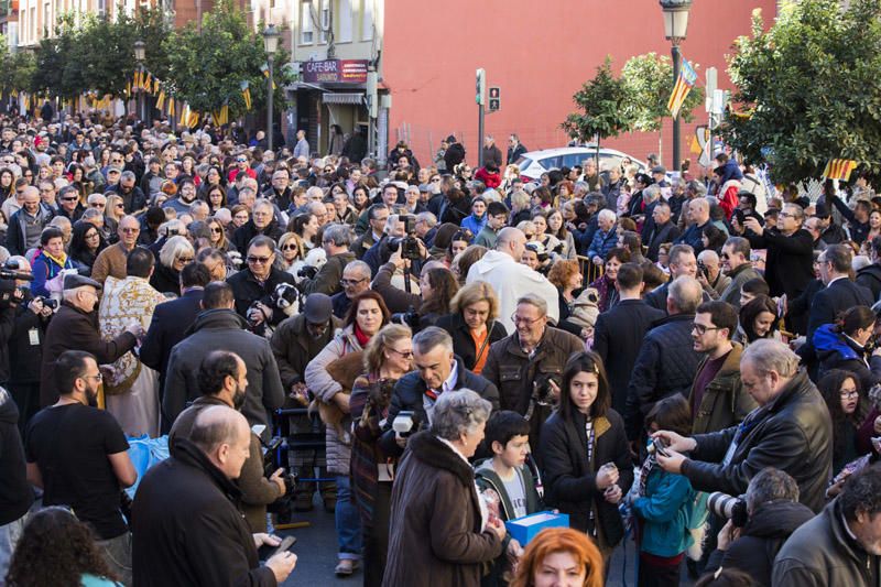 Bendición de animales por Sant Antoni del Porquet