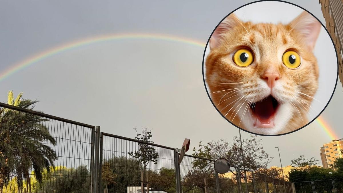 Uno de los arcoíris vistos en Alicante este martes.