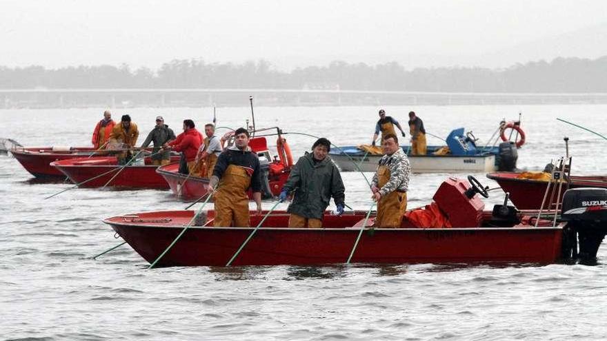 Embarcaciones de marisqueo a flote en una ría gallega.