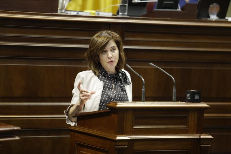 El pleno del Parlamento de Canarias continua con varias comparecencias, entre ellas varias de la consejera de Educación, María José Guerra, para abordar cuestiones como el absentismo y el abandono escolar temprano o el Plan Estratégico de Atención a la Diversidad en la Ley Canaria de Educación  | 12/02/2020 | Fotógrafo: Delia Padrón