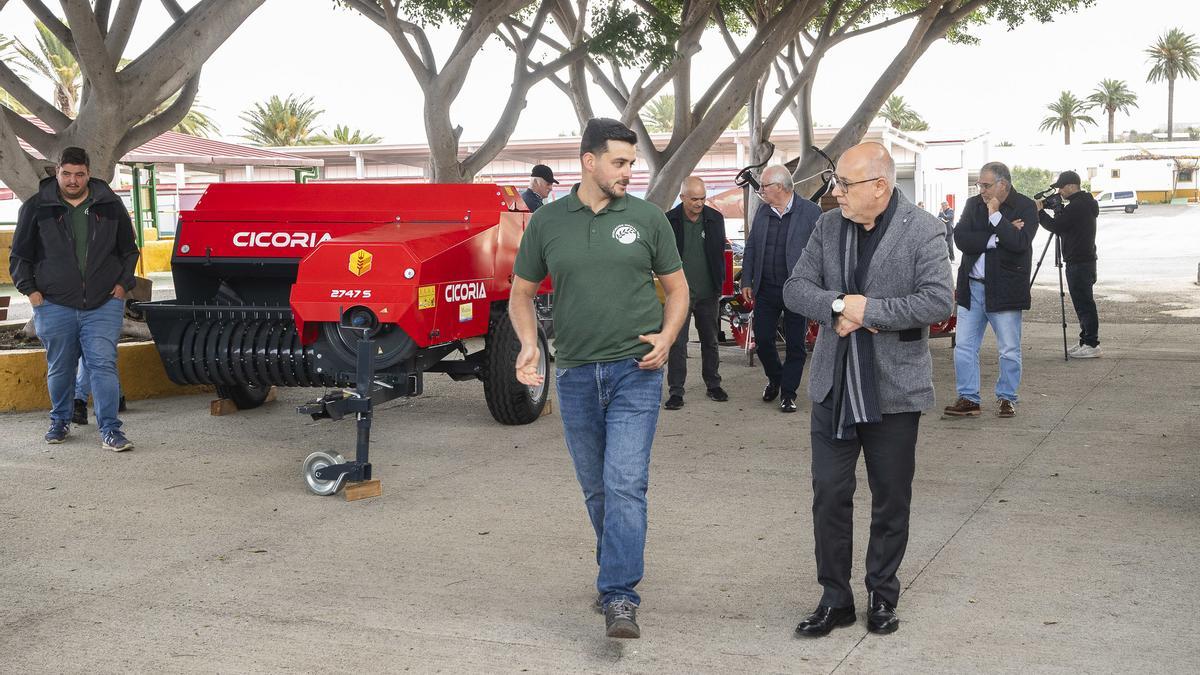 El apoyo del Cabildo al forraje multiplica la superficie cultivada en Gran Canaria y refuerza el binomio local entre agricultura y ganadería