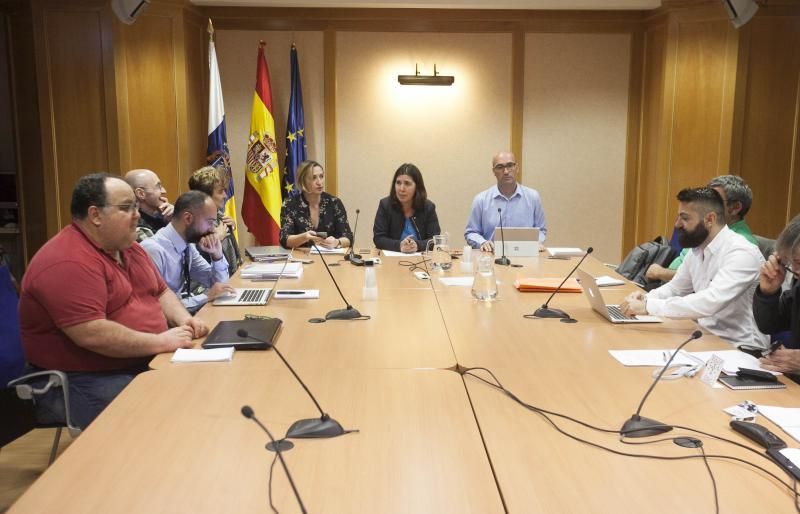 Reunión del comité científico del Pevolca