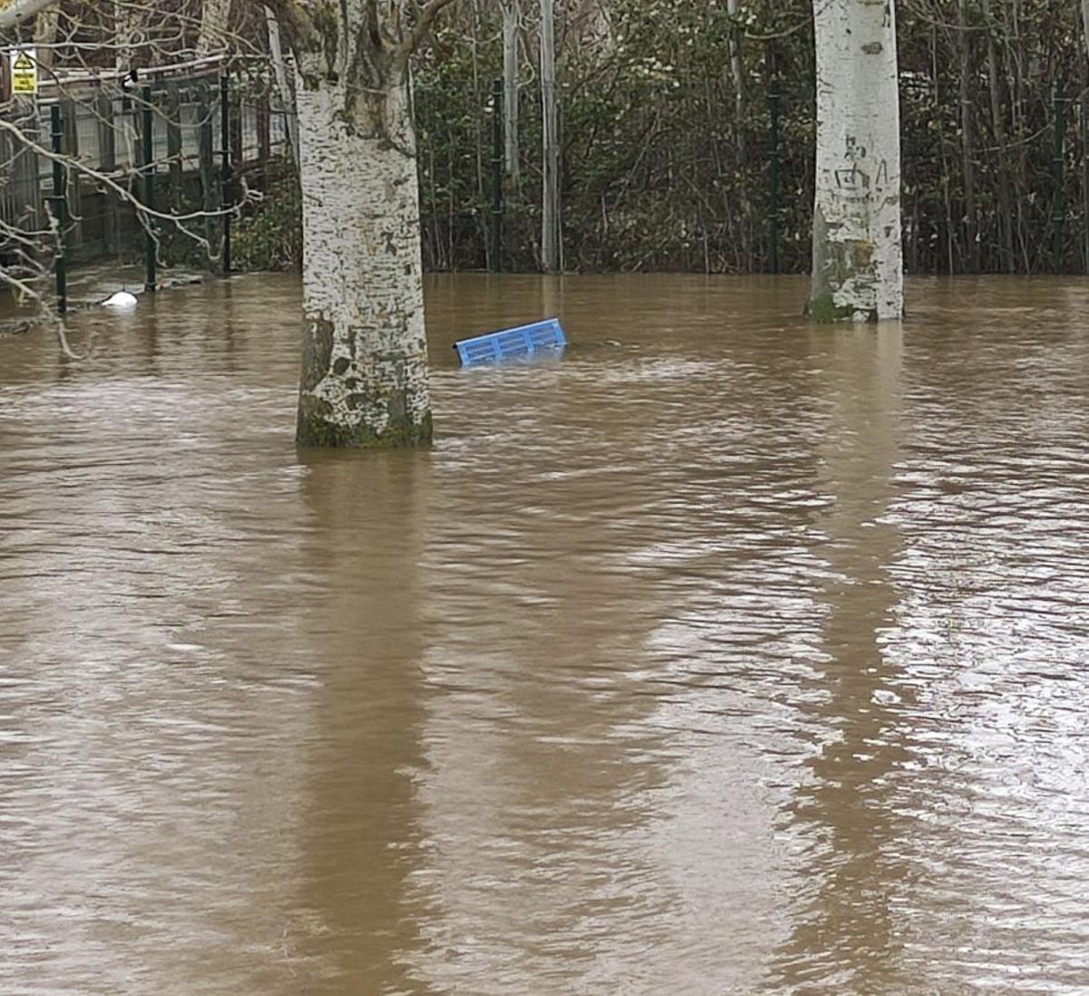 El parque de los perros en la zona del Prado de las Pavas. | E. P.