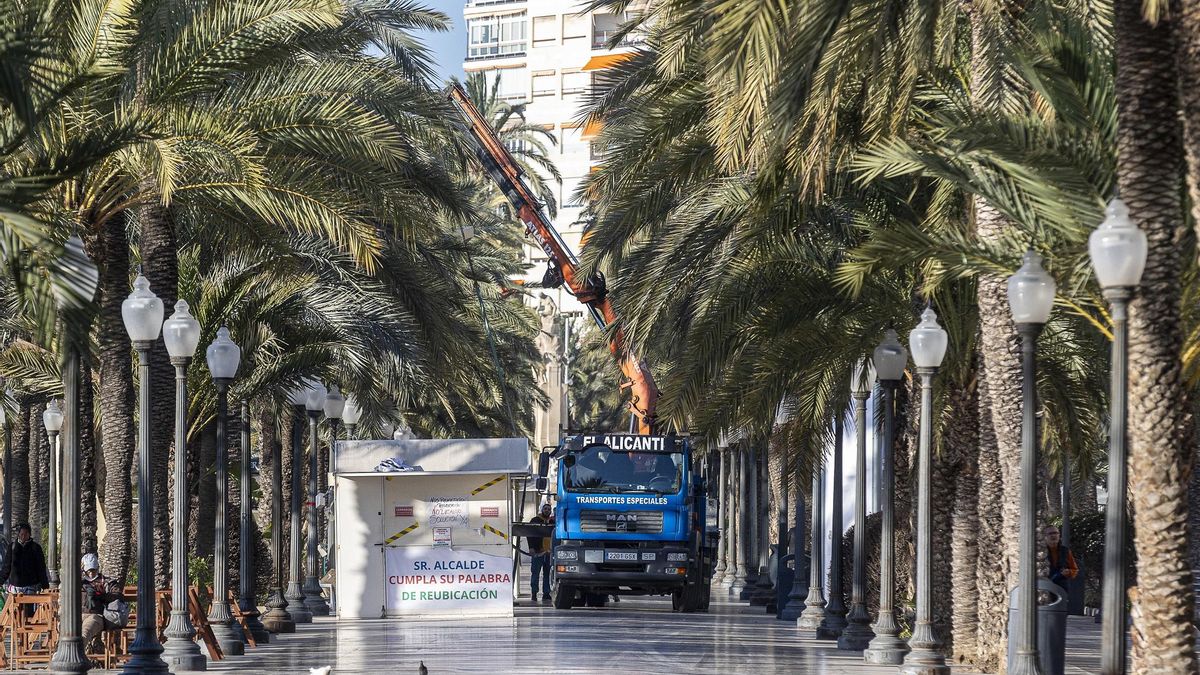 Los "hippies" solicitan una semana más al Ayuntamiento de Alicante para preparar el traslado a la Lonja