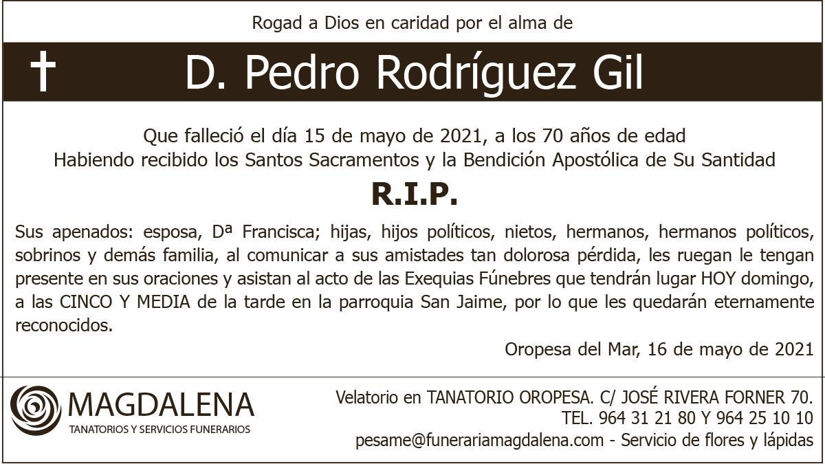 D. Pedro Rodríguez Gil