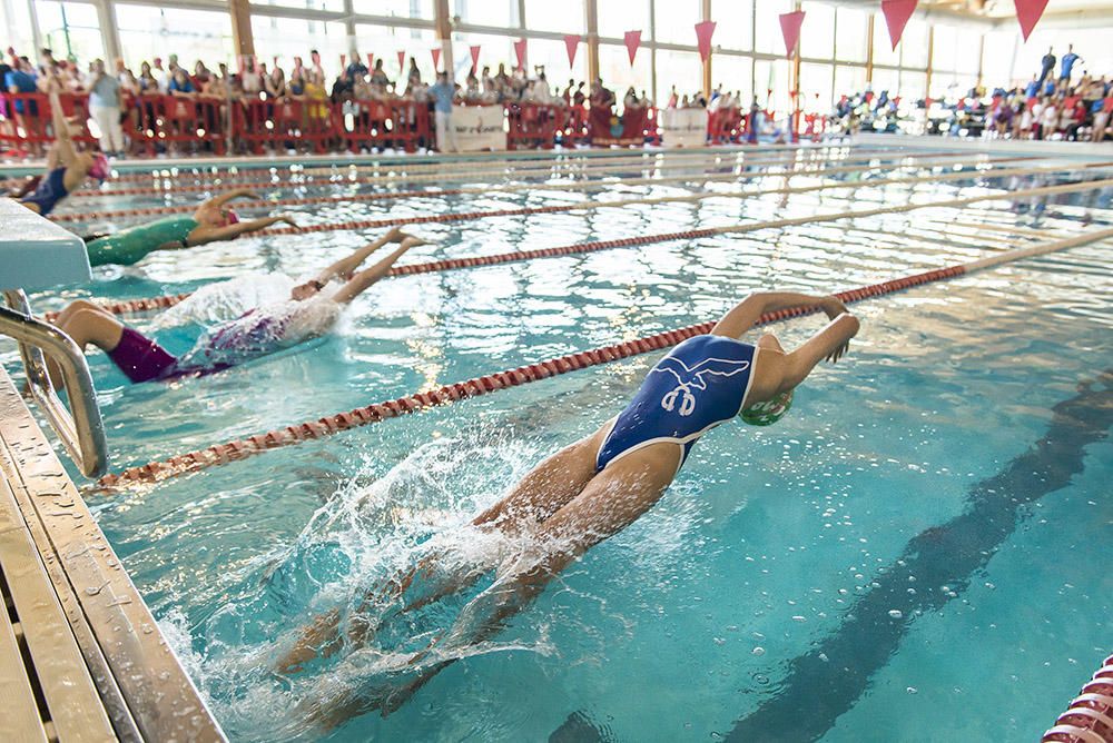 Más de 300 participantes y numeroso público asisten a la trigésimo primera edición del Trofeo Ciutat d'Eivissa de natación.