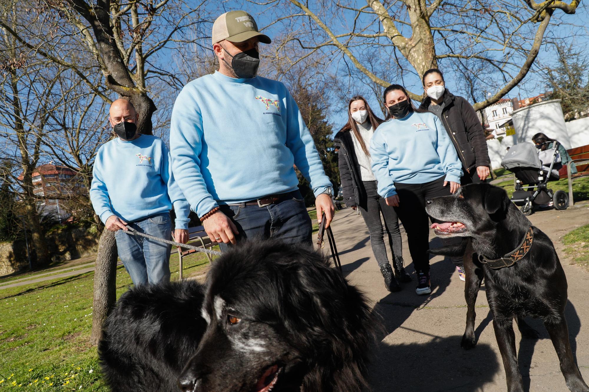 El club de los perros sanadores quier ayudar a les persones que lo  necesiten - La Nueva España