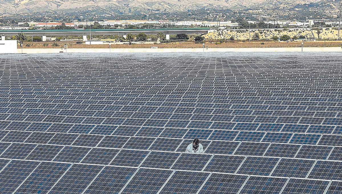 Planta fotovoltaica Cooperativa de Crevillente