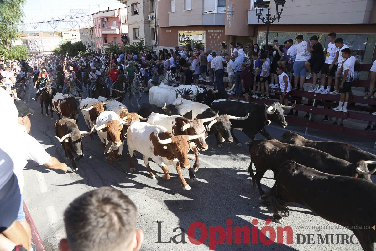 Quinto encierro de las Fiestas de Moratalla