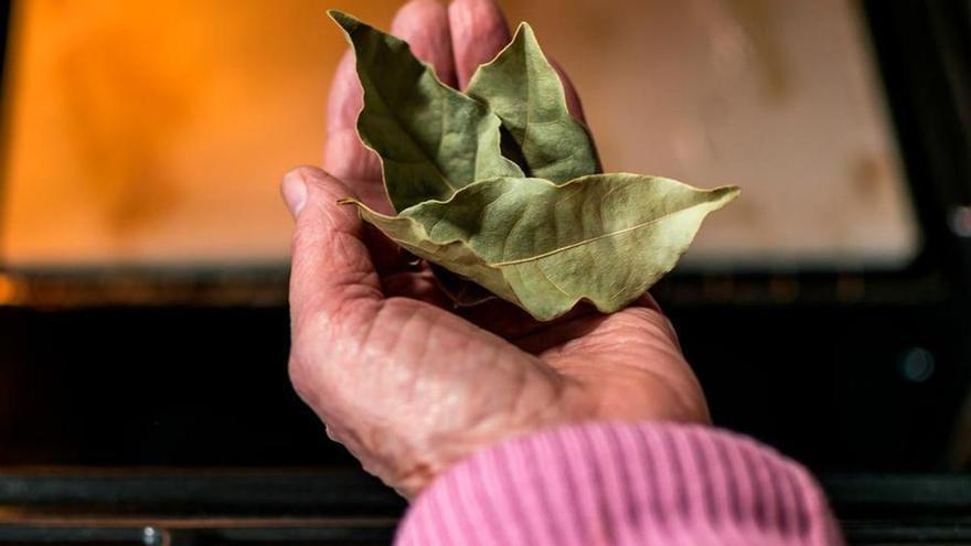 Llega el frío y toda España mete una hoja de laurel en el radiador por esta razón