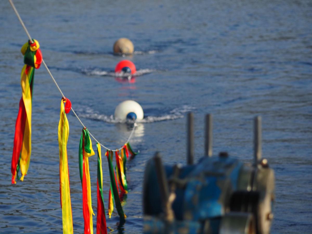 Prototip de línia espantaocells utilitzat en les proves de mitigació realitzades en col·laboració amb la Confraria de Pescadors de Blanes al juny de 2025.