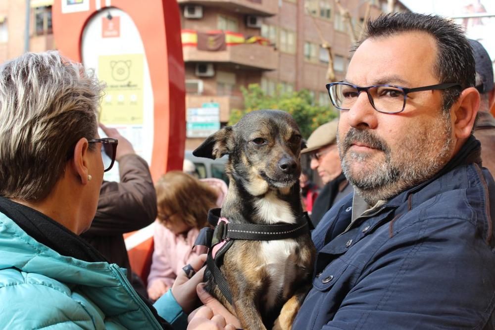 Bendición de los animales en la Ermita de San Antón