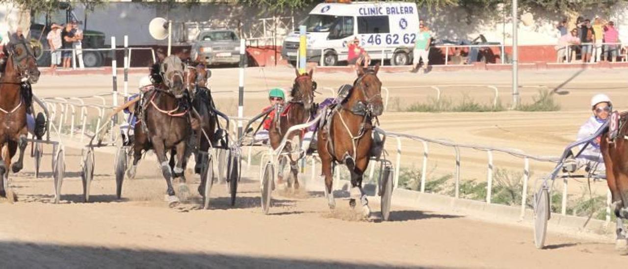 Sultán BS, con Xisco Bennàssar, entró en meta el pasado sábado como claro ganador de su carrera, antes de terminar distanciado.