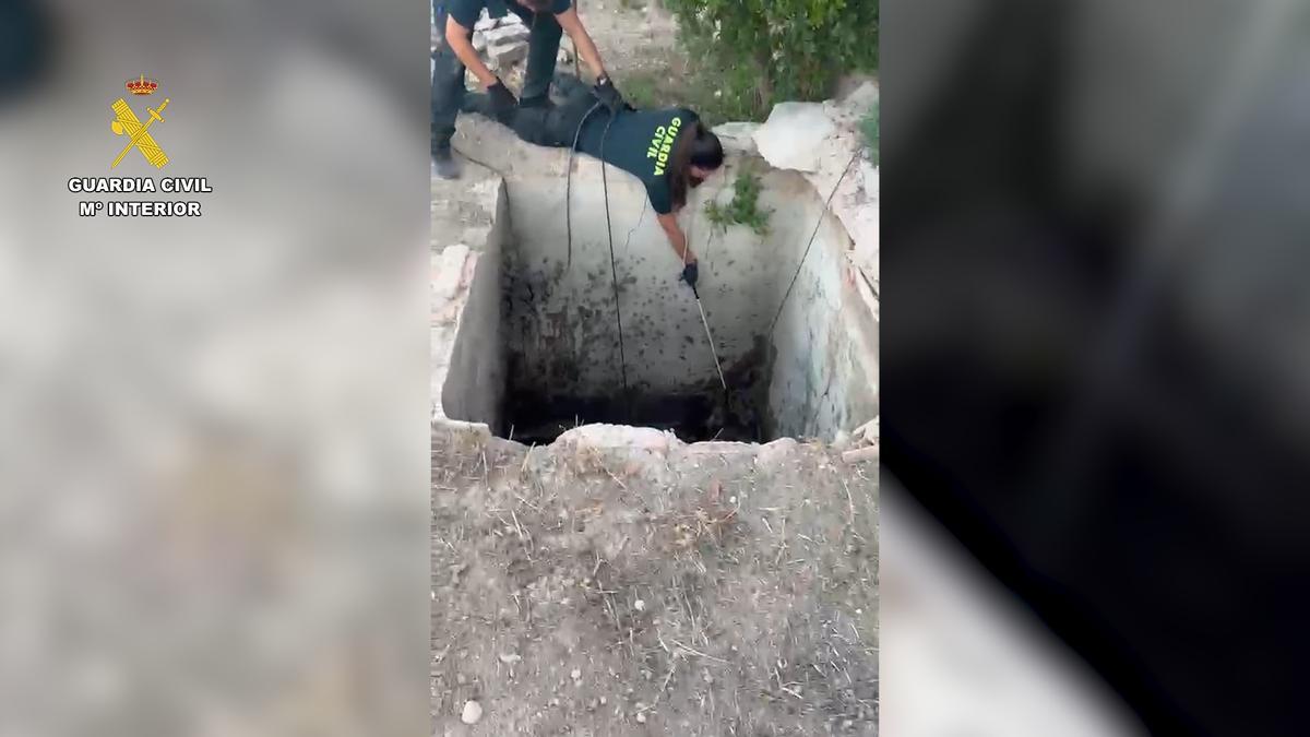 Rescate de un zorro en Aspe