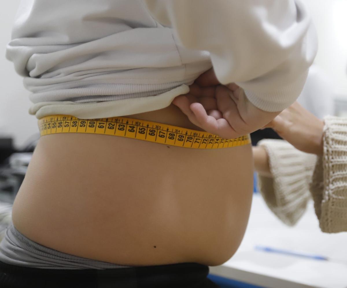 Las muestras del estudio de Corals permiten analizar parámetros bioquímicos como lípidos, glucosa e insulina. | A.J. GONZÁLEZ/CÓRDOBA
