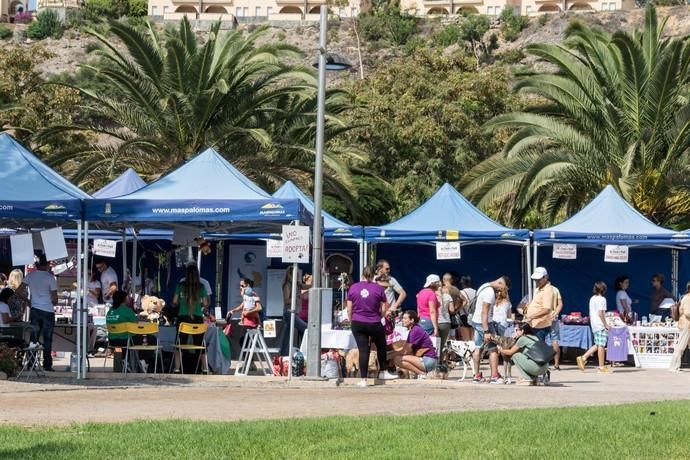 II Feria de Mascotas en Maspalomas