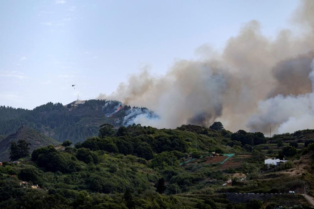 Nuevo incendio forestal en Gran Canaria