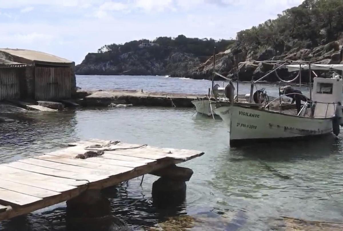 «Volia fer-ho perquè em fa pena com ha canviat l’illa»