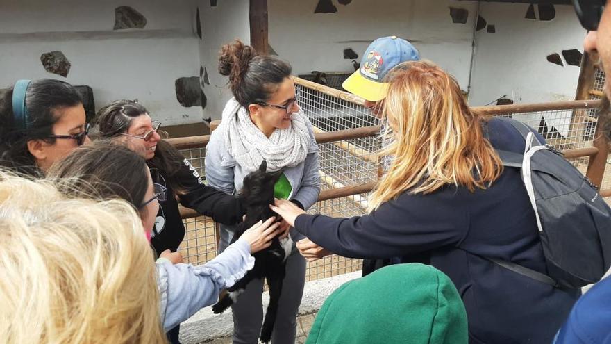 Los usuarios del Centro Ocupacional visitan la Finca de los Olivos