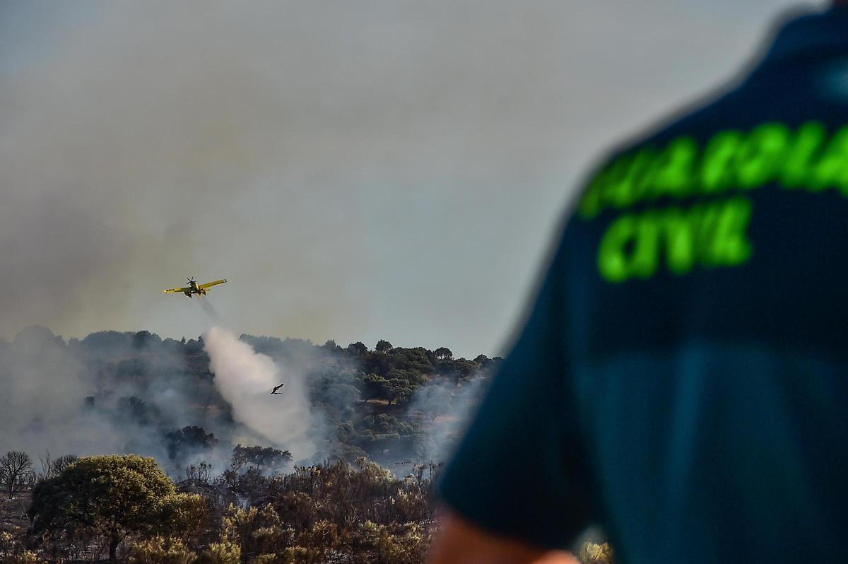 Fotogalería | Imágenes del incendio forestal en Plasencia de este jueves Fotogalería | Imágenes del incendio forestal en Plasencia de este jueves