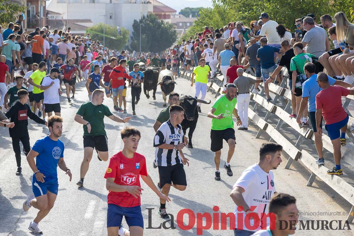 Sexto y último encierro de la Feria Taurina del Arroz en Calasparra