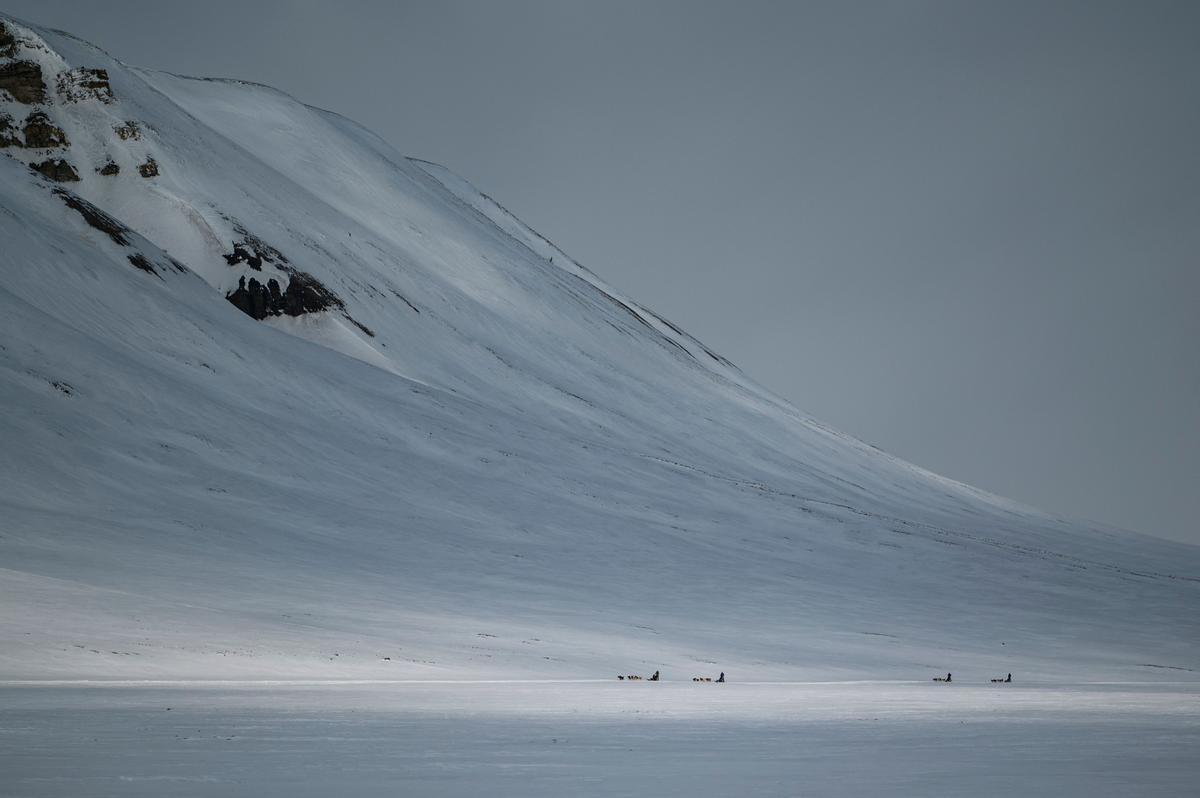 Impresionante paisaje nevado en el valle de Bolterdalen, en Nordenskiold Land (isla de Spitsbergen). Un trineo con perro atraviesa el lugar durante un tour.