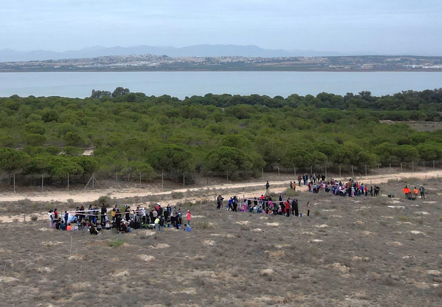 800 escolares se implican en la celebración del Día del Árbol con la plantación de especies autóctonas en torno a la laguna de La Mata de Torrevieja