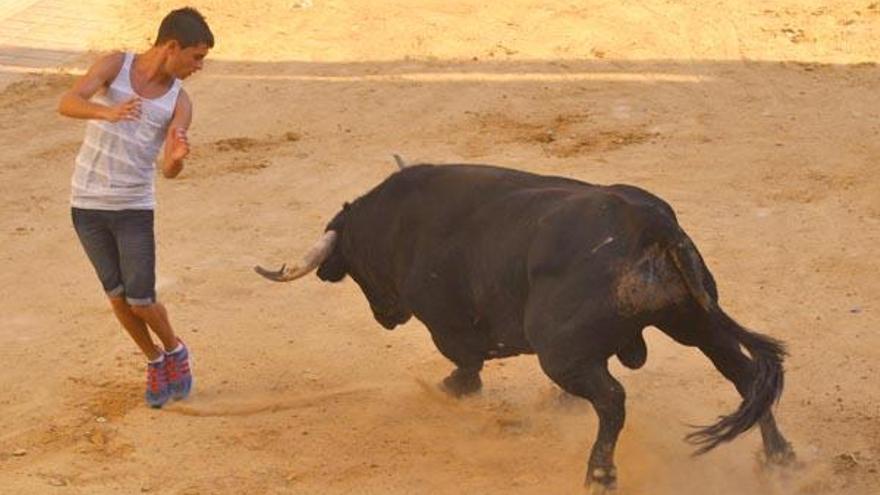 La UE rechaza 34 quejas antitaurinas