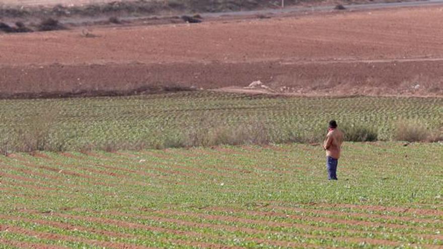 Las ETT de la Región se sienten en el punto de mira de las denuncias laborales