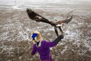 Un caçador llança al vol la seva àguila daurada en una competició als afores d’Alma-Ata (Kazakhstan).
