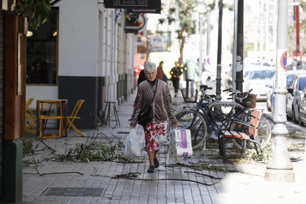 Incidencias en la Comunitat Valenciana por el fuerte viento
