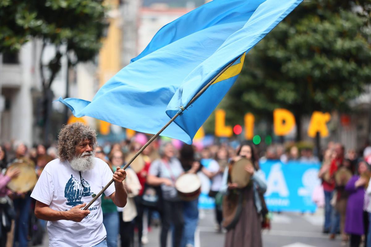Manifestación por la oficialidad del asturiano Manifestación por la oficialidad del asturiano