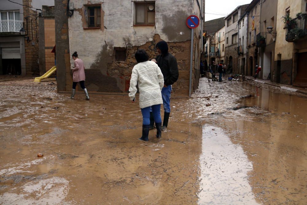 Pla obert on es poden veure veïns de l'Albi