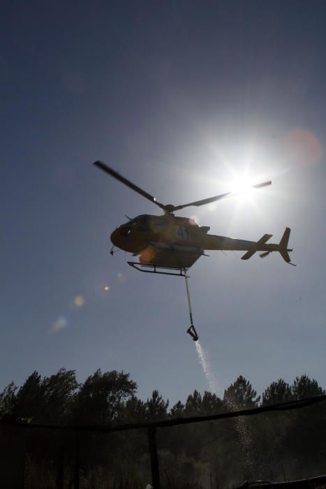 Incendi a Santa Coloma de Farners