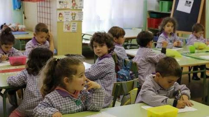 Taller de observación de aves en Cangas de Onís