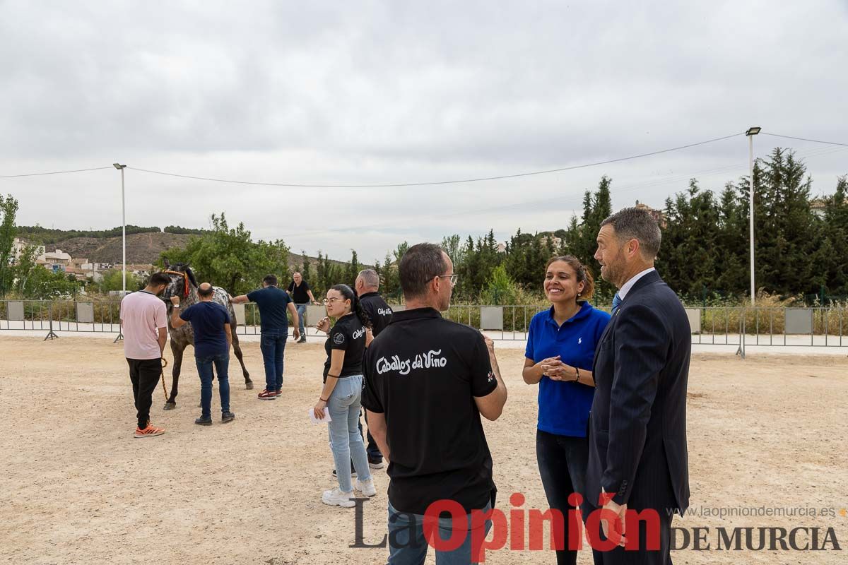 Control veterinario de los Caballos del Vino en Caravaca