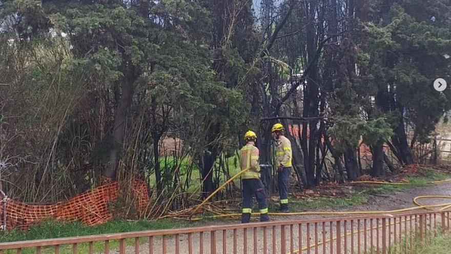 Incendi en uns canyissars a Llançà