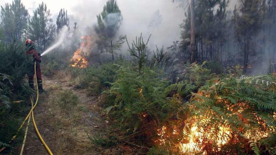 Imagen de las llamas del incendio de Arbo que se extendió hasta As Neves hace dos semanas. // M. Canosa