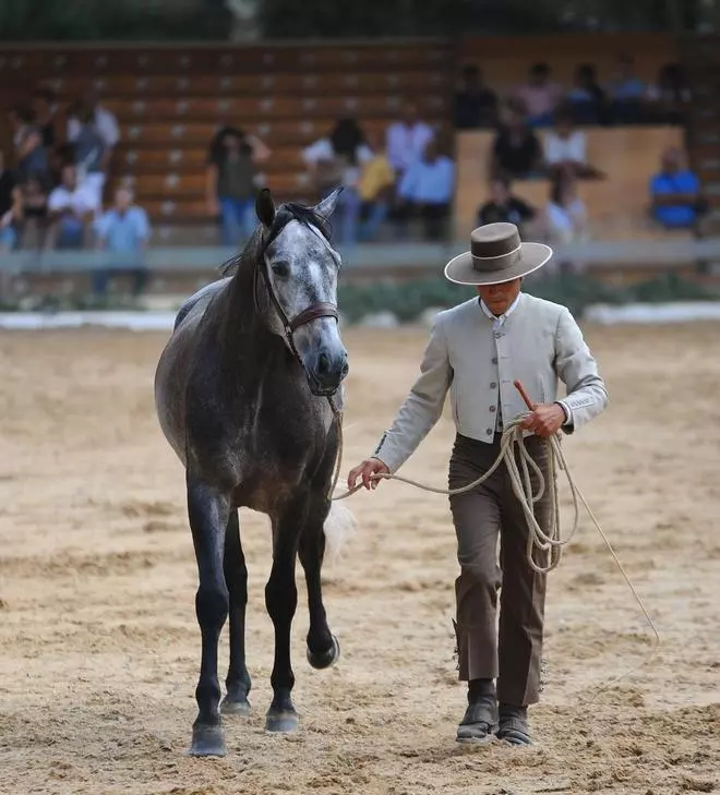 Las mejores imágenes del la inauguración de Cabalcor
