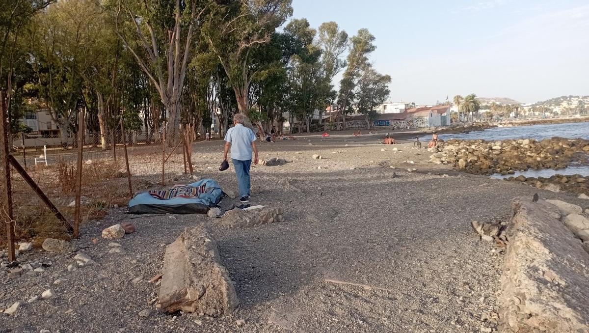 La playa ha aumentado y un poco y, con ello, han aparecido nuevos ejemplares del Limonium.