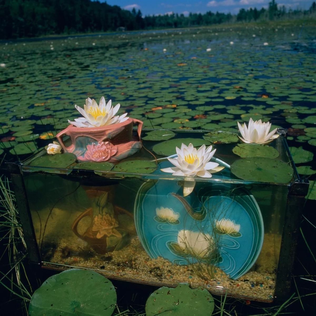 Fotografía de Arthur Tress.