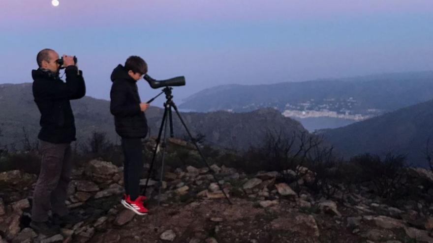 El Parc Natural del Cap de Creus detecta una gran presència de ducs