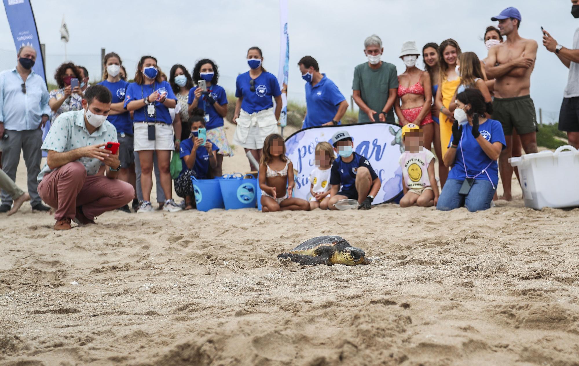 Liberación de tortugas marinas en el Parador de El Saler