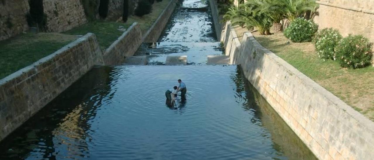 En la desembocadura de sa Riera se construyó el primer puerto.