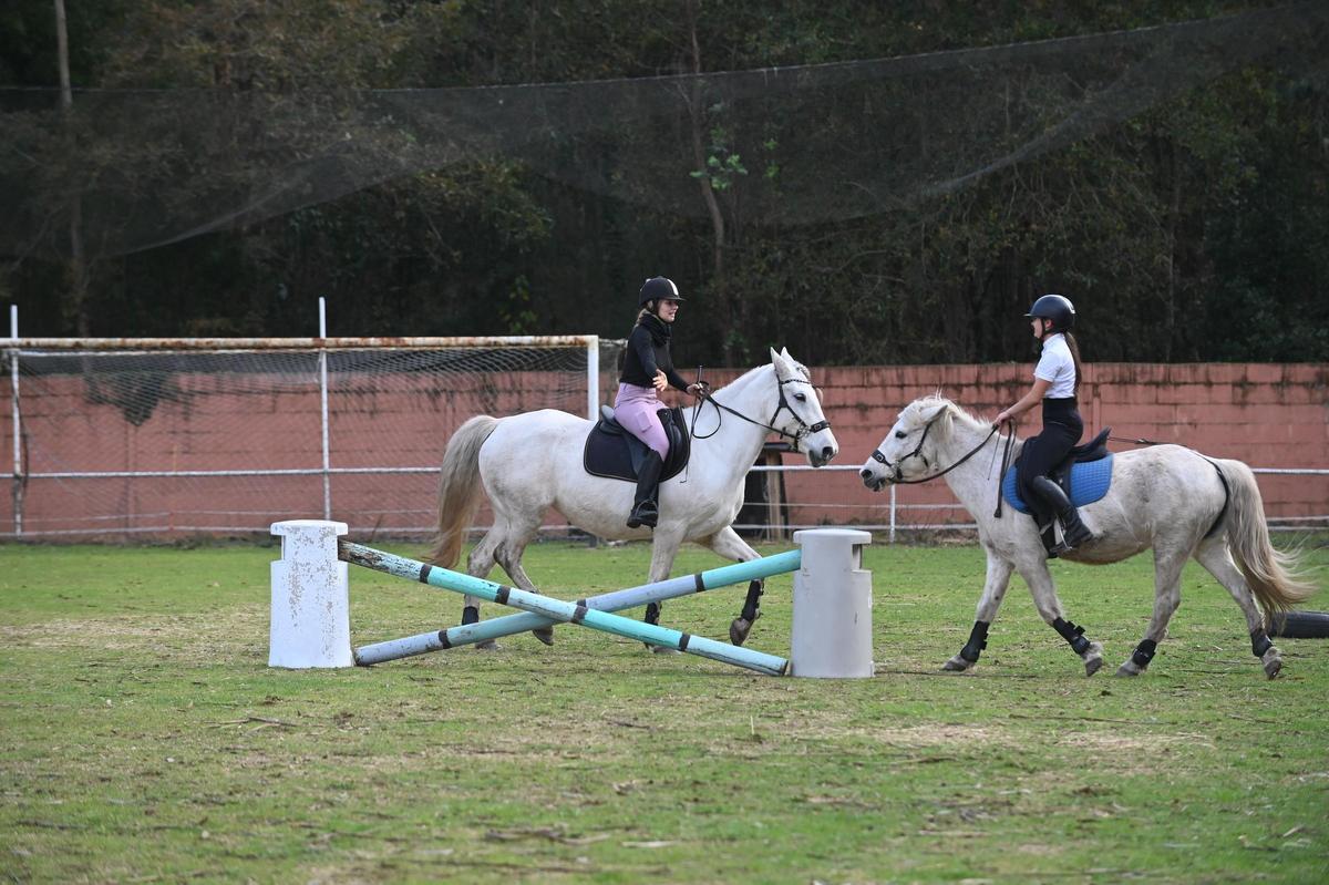 El espectáculo de salto de caballos fue uno de los más seguidos por los asistentes.