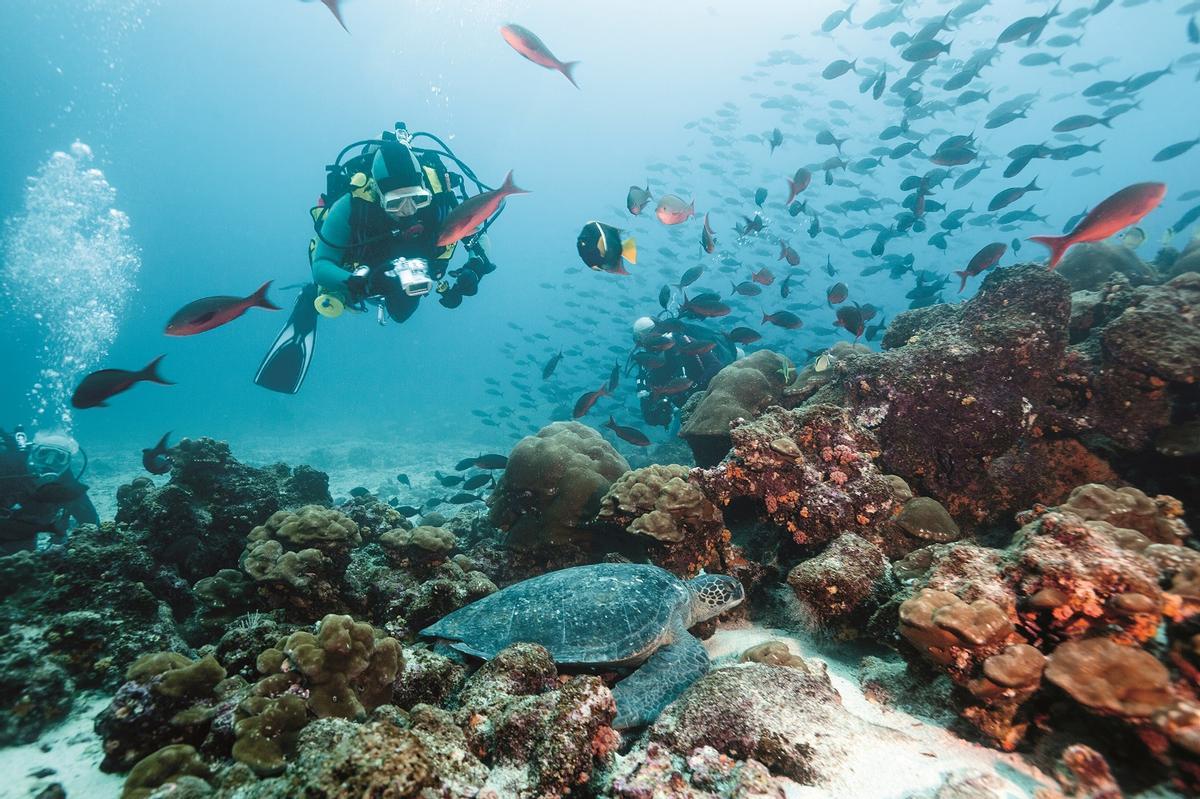 Buceo en Galápagos.