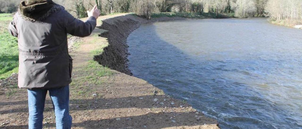 El talud creado por la erosión del terreno en uno de los tramos del río Esva a su paso por Brieves.