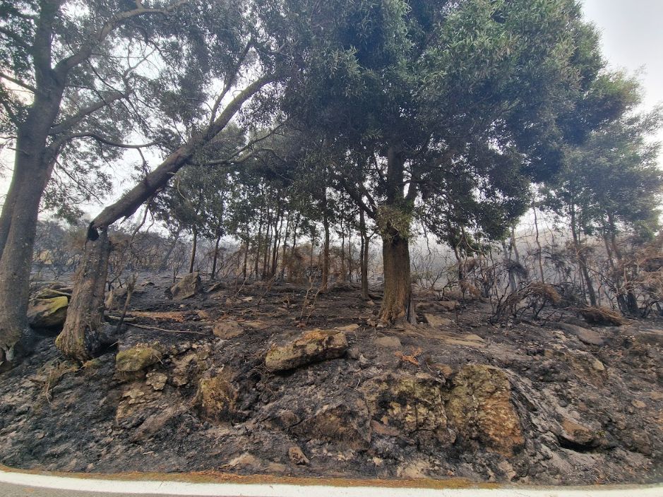 Las llamas dejan imágenes desoladoras en Barbanza