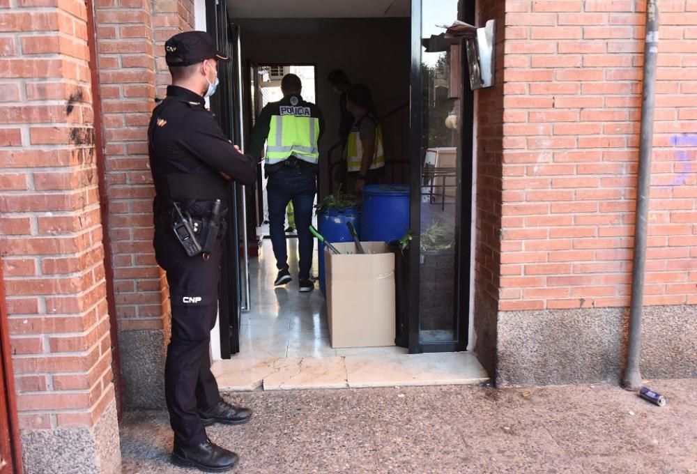 Hallan 300 plantas de marihuana en una casa del barrio del Infante de Murcia